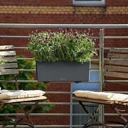 LECHUZA BALCONERA Color Trough Poly Resin Self-watering Planter Set