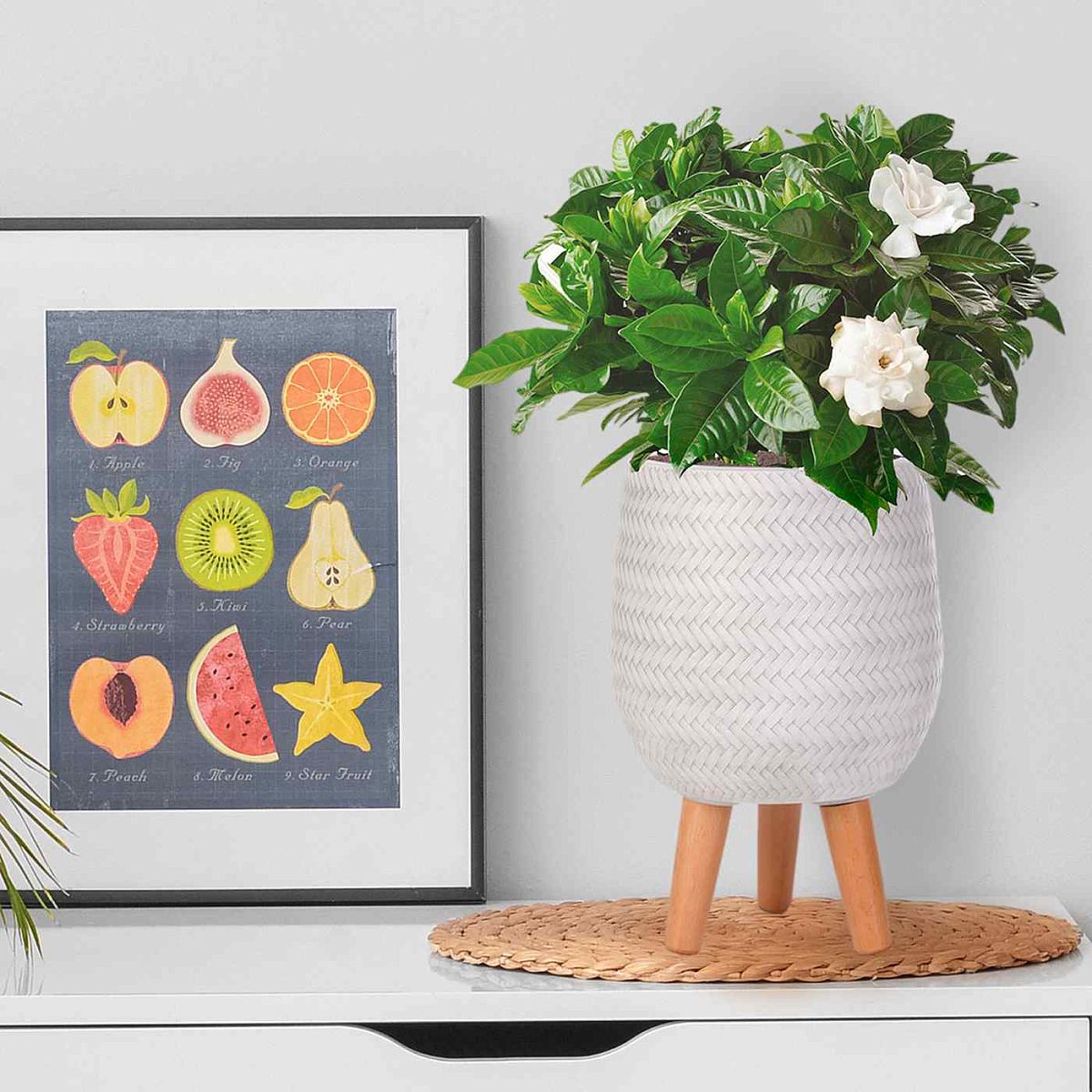 IDEALIST Lite Plaited Style Egg Planter on Legs, Round Pot Plant Stand Indoor