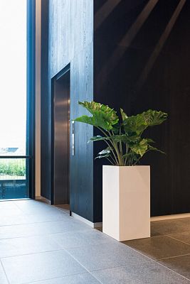 Tall Fiberstone Square Planter by Idealist Premium BOUVY
