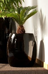 Contemporary Round Tall Ceramic Look Planter