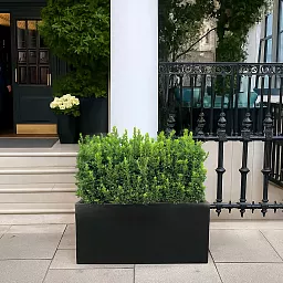 IDEALIST Lite Contemporary Light Concrete Trough Planter