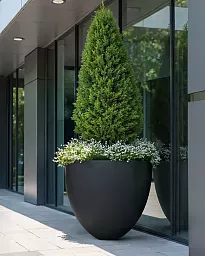 INTRO Tall Round Outdoor Fibreglass Planter