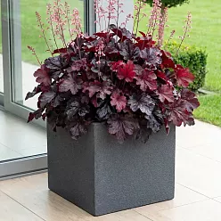 IDEALIST Lite Textured Concrete Effect Square Outdoor Planter