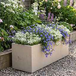 Raindrop Fibreclay Large Trough Planter  | Indoor and Outdoor Plant Pot