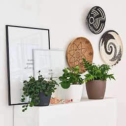 LECHUZA CLASSICO Color Round Poly Resin Self-watering Planter