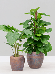 Amora Couple Glazed Clay Round Planter