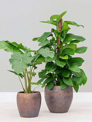 Amora Couple Glazed Clay Round Planter