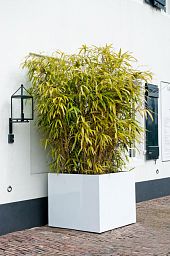 Square Fiberstone Planter by Idealist Premium JUMBO Glossy