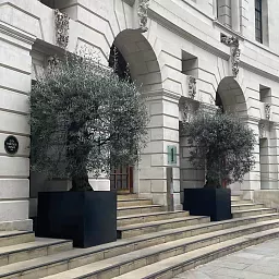 PURE Cube Outdoor Fiberglass Planter