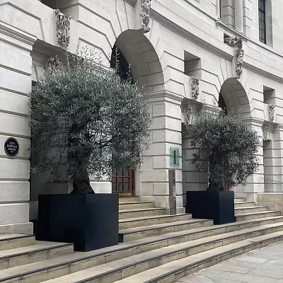 PURE Cube Outdoor Fiberglass Planter