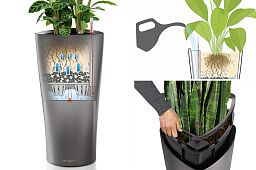 Codiaeum Mammy in LECHUZA DELTA Self-watering Planter, Total Height 150 cm