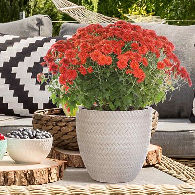IDEALIST Lite Plaited Style Round Planter Outdoor Plant Pot