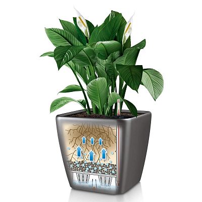 LECHUZA Quadro LS Square Poly Resin Self-watering Planter