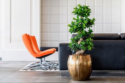 Ceramic Round Lined Glossy Planter Pot In/Out