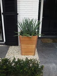 Hardwood Sevilla Tapered Square Tall Wood Outdoor Planter