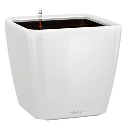 LECHUZA Quadro LS Square Poly Resin Self-watering Planter