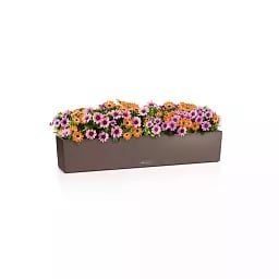LECHUZA BALCONERA Color Trough Poly Resin Self-watering Planter