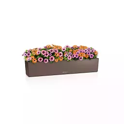 LECHUZA BALCONERA Color Trough Poly Resin Self-watering Planter