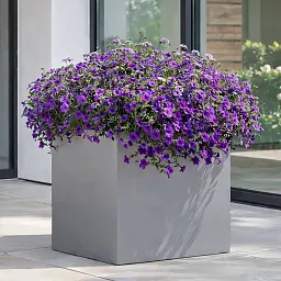 IDEALIST Lite Square Box Contemporary Light Concrete Planter