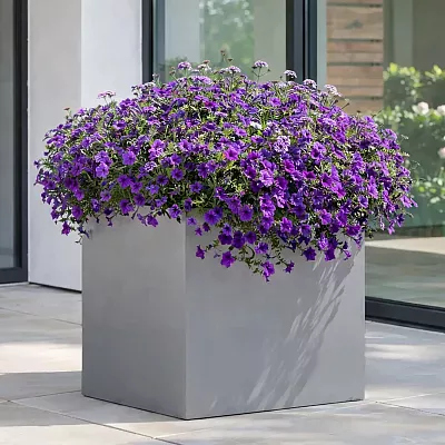 IDEALIST Lite Square Box Contemporary Light Concrete Planter