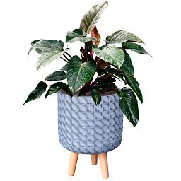 IDEALIST Lite Faceted Effect Planter on Legs