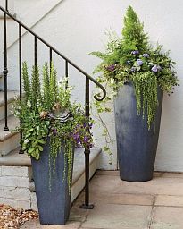 Ceramic Round Tall Matte Planter Pot In/Out