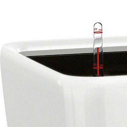 LECHUZA Quadro LS Square Poly Resin Self-watering Planter Set
