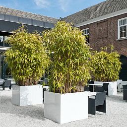 Square Fiberstone Planter by Idealist Premium BLOCK Glossy