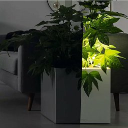 LECHUZA CANTO Premium High LED Square Tall Poly Resin Self-watering Planter