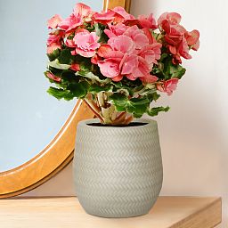 IDEALIST Lite Plaited Style Table and Hanging Plant Pot Dual Use Indoor Egg Planter