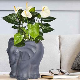 IDEALIST Lite Elephant Plant Pot Indoor