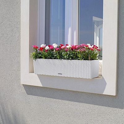 LECHUZA BALCONERA Cottage Trough Poly Resin Self-watering Planter