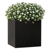 Square planters