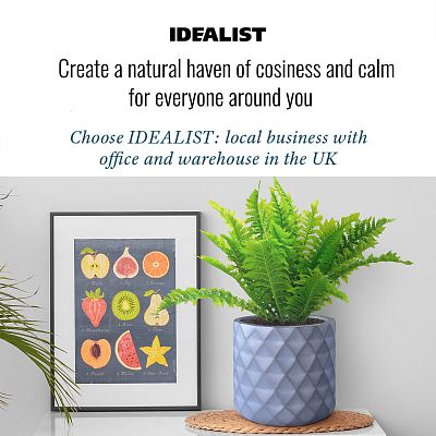 IDEALIST Lite Diamond Style Indoor Hanging Planter