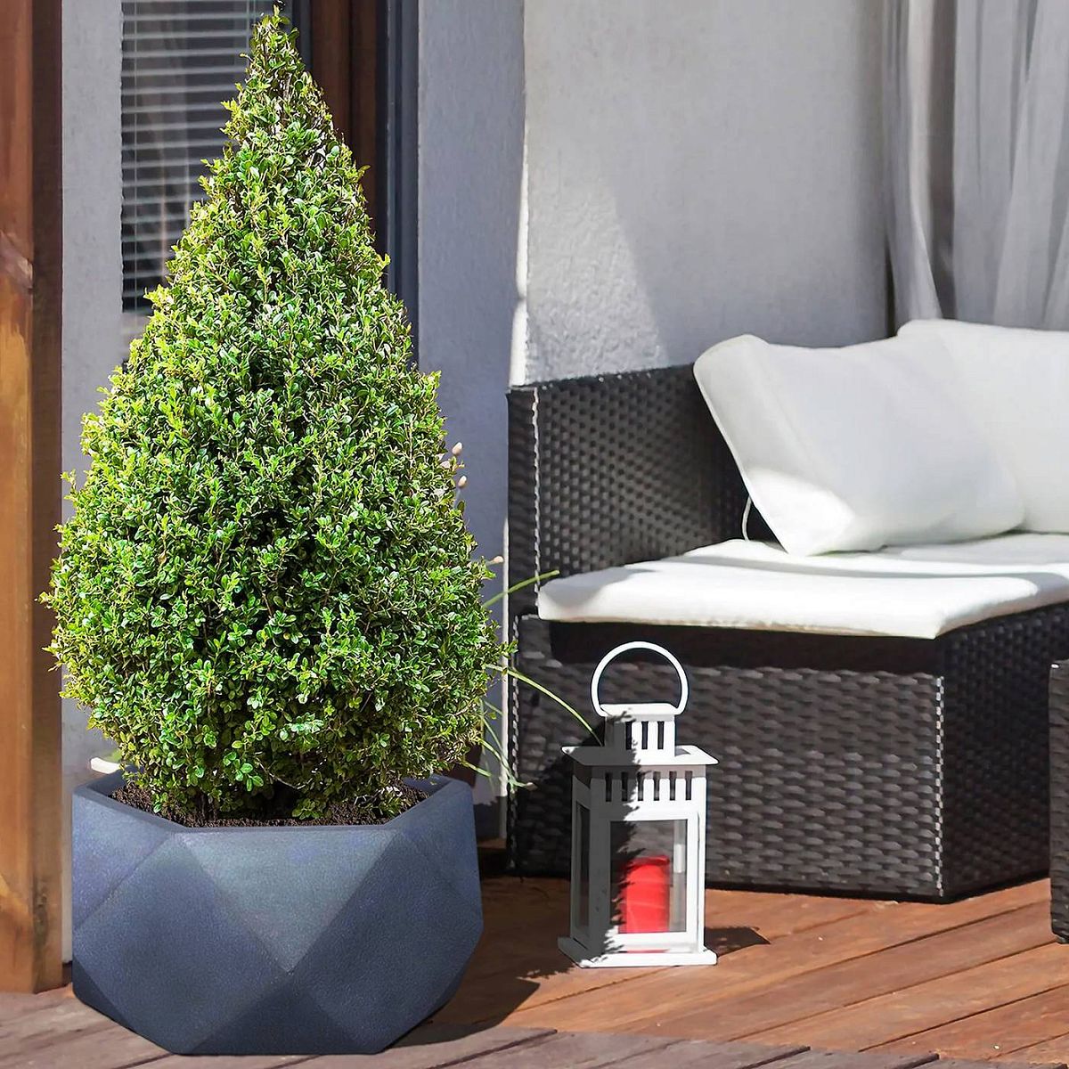 IDEALIST Lite Faceted Effect Bowl Planter Indoor Plant Pot