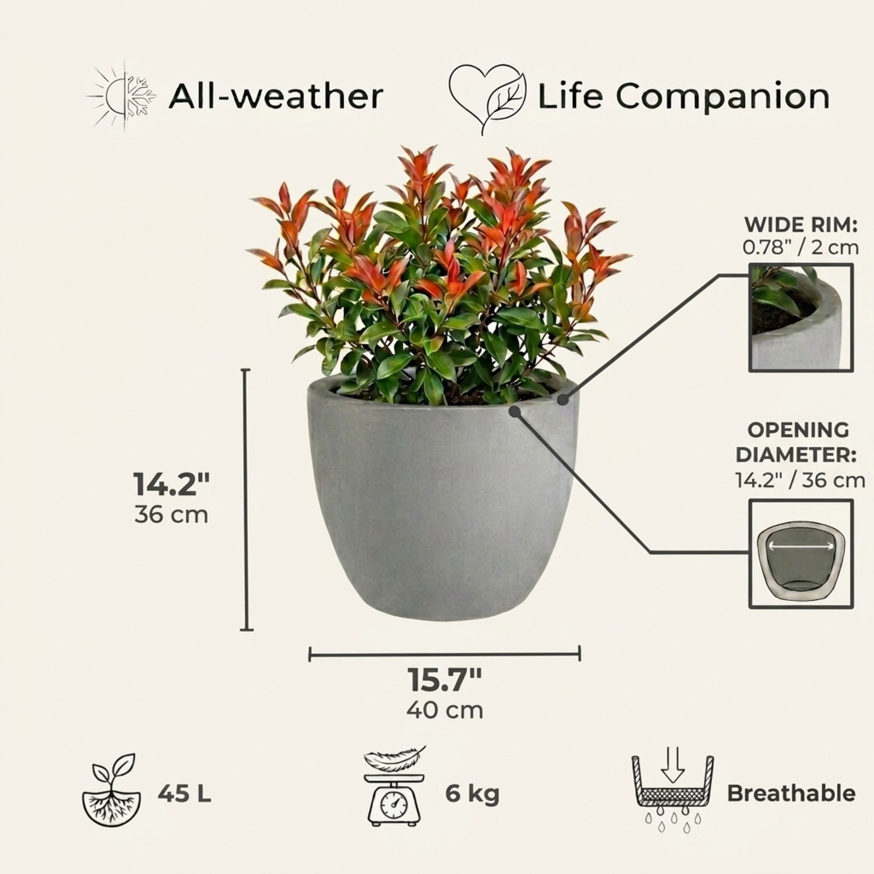 IDEALIST Lite Contemporary Light Concrete Egg Planter