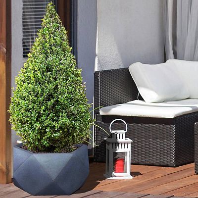 IDEALIST Lite Faceted Effect Bowl Planter Indoor Plant Pot