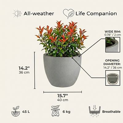 IDEALIST Lite Contemporary Light Concrete Egg Planter