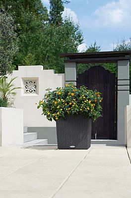 LECHUZA CUBE Cottage Square Poly Resin Self-watering Planter