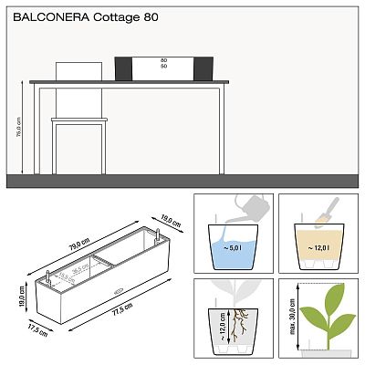 LECHUZA BALCONERA Cottage Trough Poly Resin Self-watering Planter