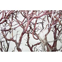 Manzanita Brown Branchy Artificial Branch