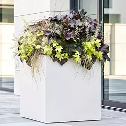 IDEALIST Lite Square Box Contemporary Light Concrete Planter