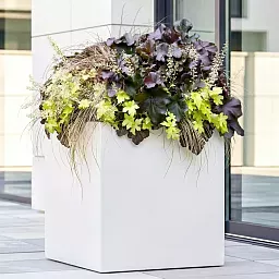 IDEALIST Lite Square Box Contemporary Light Concrete Planter