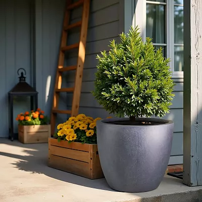 IDEALIST Lite Contemporary Light Concrete Egg Planter