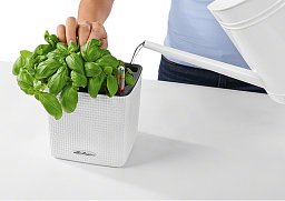 LECHUZA CUBE Color Square Poly Resin Indoor Self-watering Planter Set