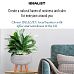 IDEALIST Lite Plaited Style Bowl Planter on Legs, Round Pot Plant Stand Indoor
