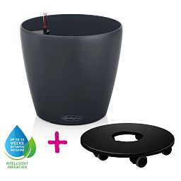 LECHUZA CLASSICO Color Round Poly Resin Self-watering Planter Set