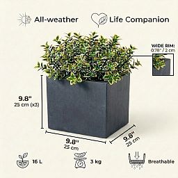 IDEALIST Lite Square Box Contemporary Light Concrete Planter