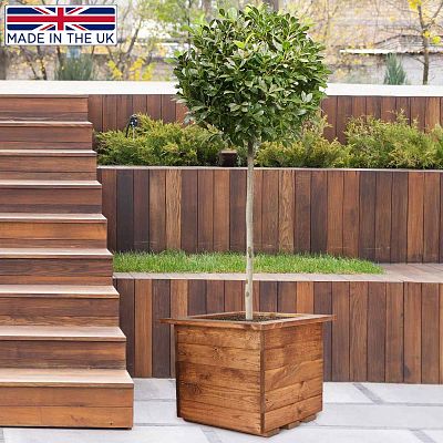 Rustic Scandinavian Redwood Square Outdoor Planter Made in UK by HORTICO
