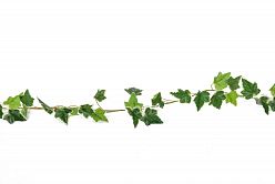 English Ivy Garland Vari Artificial Branch Plant